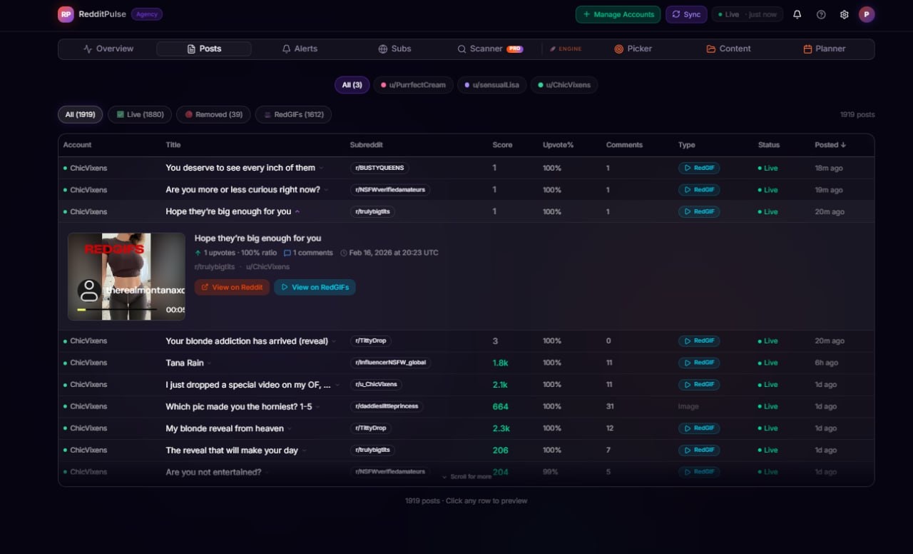 Posts table with full history, filters, and click-to-preview